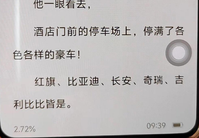 Word文档图片